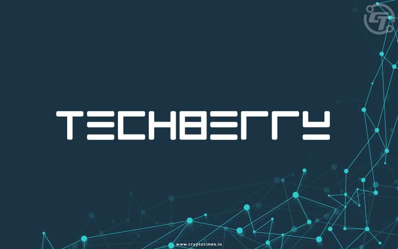 techberry review